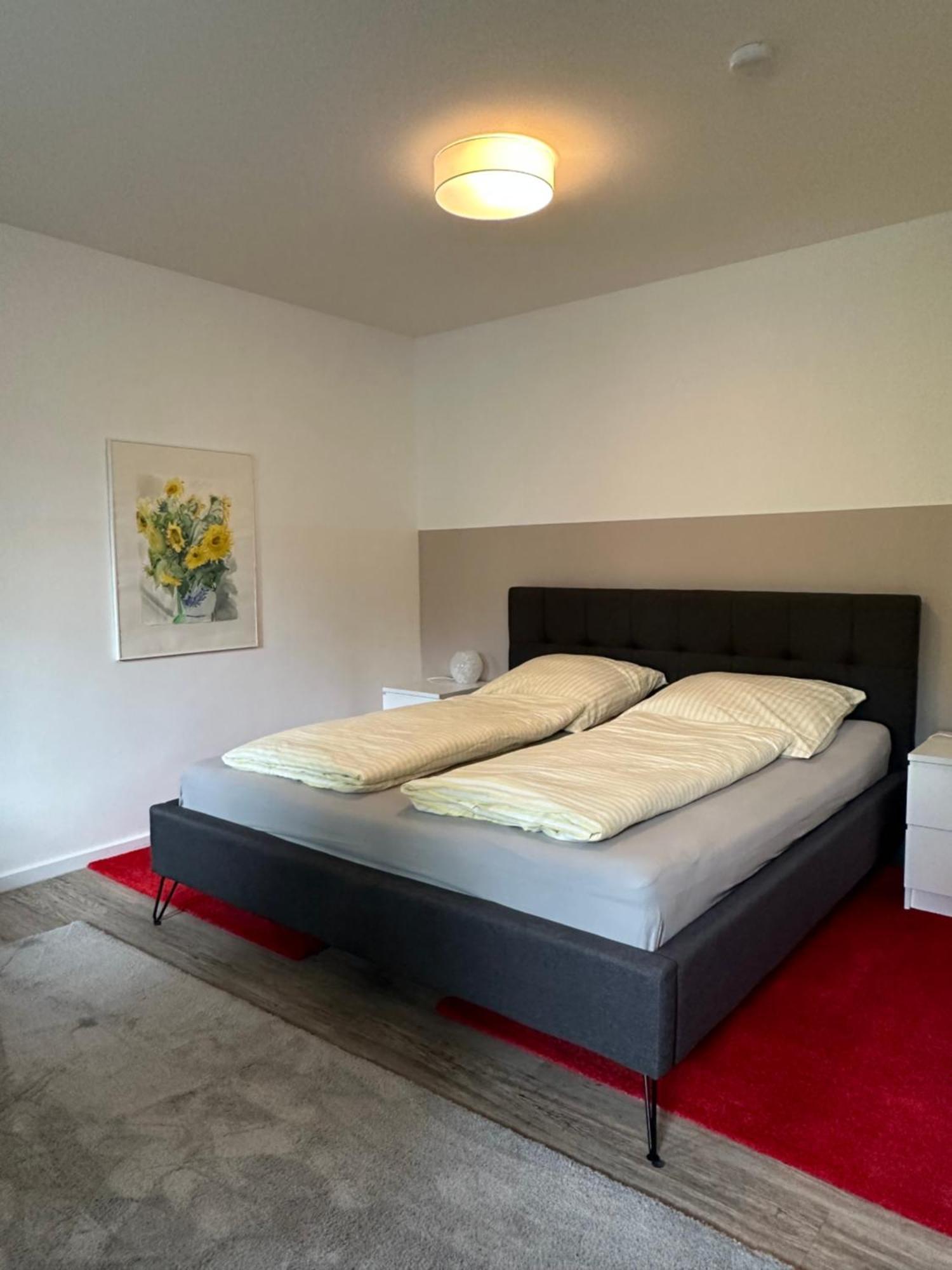 Apartamento Am Kleinen Muehlenteich - Zentrale Ruhige Lage Mit Parkplatz Und Fahrraedern Flensburgo Exterior foto